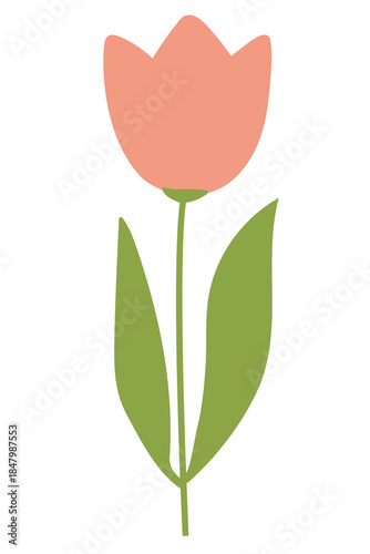Artistic simple flower illustration element design
