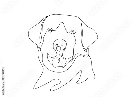 Single Continuous Line Drawing of adorable golden retriever dog head. Dog head simple illustration.