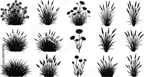 Black silhouette collection of wild grass, meadow plants, and blooming flowers for botanical design, nature illustration, landscaping, and garden decoration element
