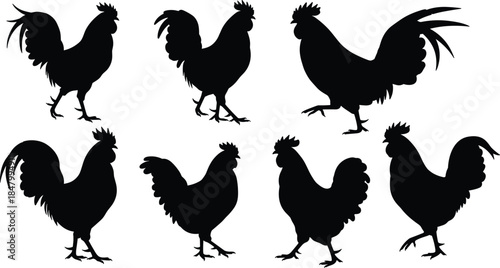 Black rooster silhouette set, farm chicken vector illustration, poultry animal clipart, vintage crowing bird icon for rural design