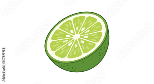 A semi-circular illustration of a vibrant green lime slice on a white background