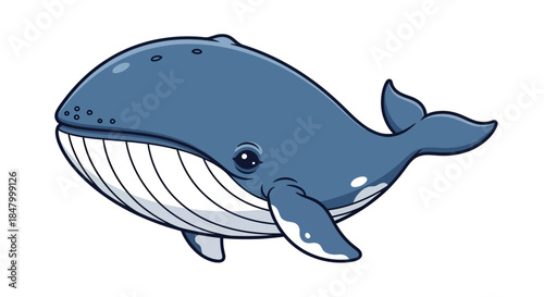 Cartoon illustration of a gentle giant in the ocean graceful blue whale with white background