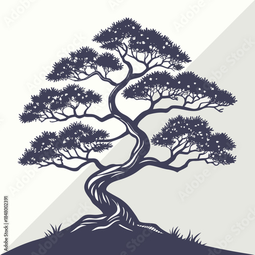 Elegant bonsai tree silhouette