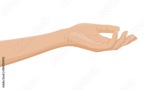 Female hand holding empty gesture showing symbol isolated on white background