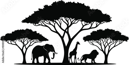 African wildlife silhouettes with elephant, giraffe and lion under acacia trees in savanna landscape, black vector illustration design