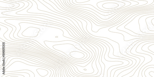 Modern abstract topographic contour line pattern with wavy elevation curves in soft monochrome gray, designed as a seamless minimalist background on transparent for branding and design
