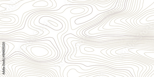 Modern abstract topographic contour line pattern with wavy elevation curves in soft monochrome gray, designed as a seamless minimalist background on transparent for branding and design
