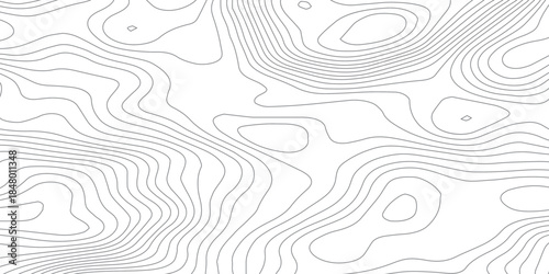 Abstract topographic elevation map background with smooth wavy contour lines in monochrome gray, forming a seamless minimalist pattern with organic curves for contemporary design.