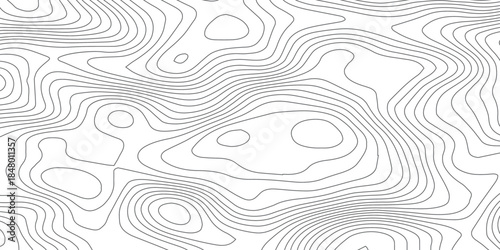 Abstract topographic elevation map background with smooth wavy contour lines in monochrome gray, forming a seamless minimalist pattern with organic curves for contemporary design.
