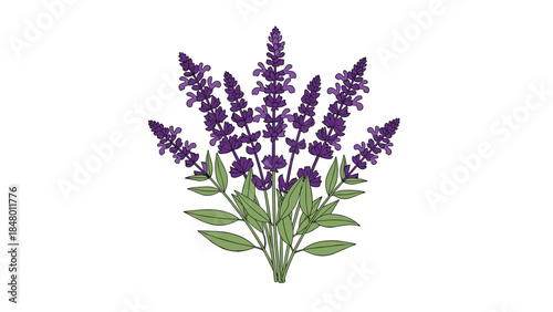 Beautiful illustration of a lavender bouquet with vibrant purple flowers and green leaves creates a calming and aromatic visual experience.