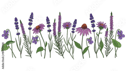A vibrant botanical illustration showcases a delightful arrangement of wildflowers including lavender, coneflowers, and violets, creating a serene garden scene.