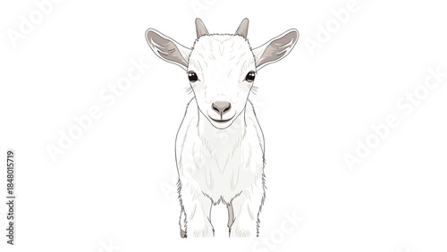 Charming white baby goat with large ears looks directly at the viewer, creating a heartwarming and innocent farm animal portrait.