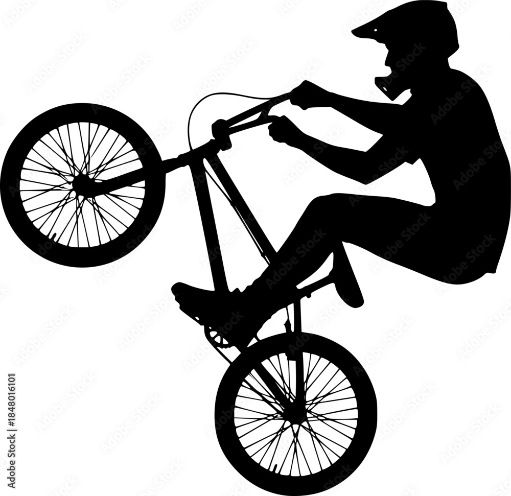 Fototapeta premium BMX Rider Freestyle Bike Vector Silhouette Icon