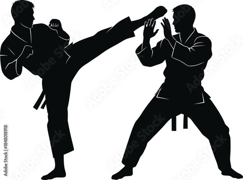 Two martial artists practicing a kick and block silhouette on transparent background