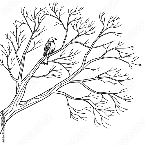 Bird perched on a tree branch