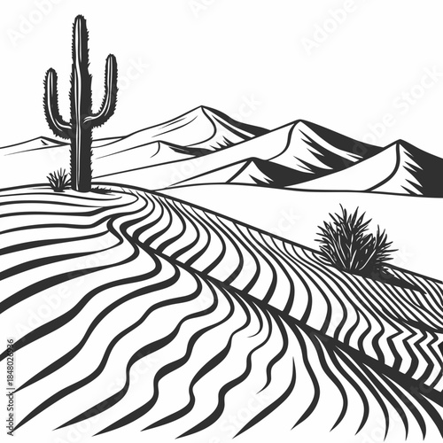 Desert landscape with sand dunes and cactus