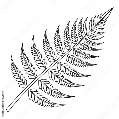 Intricate fern leaf illustration
