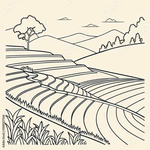 Terraced fields in mountainous landscape