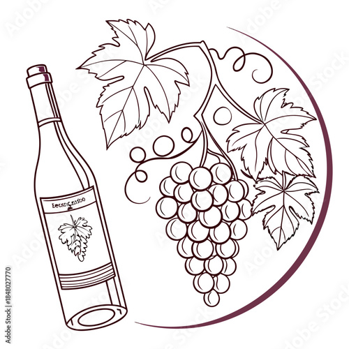 Wine bottle with grapes