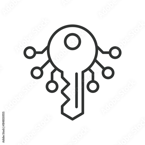 Access icon in line design. digital key, secure access, authentication on white background vector. Access editable stroke icon