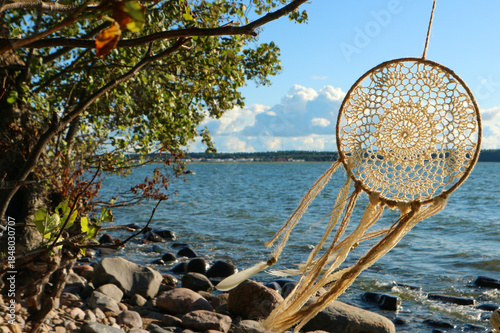 Dream catcher with feathers hanging from tree branch by sea side