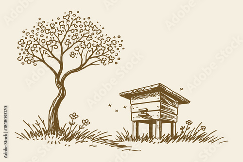Beehive with blossom tree vintage sketch vector illustration
