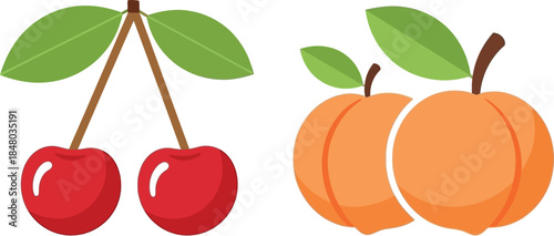 Two cherries and two apricots a colorful fruit illustration on transparent background