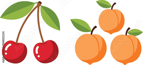 Illustrative cherries and apricots with green leaves on transparent background