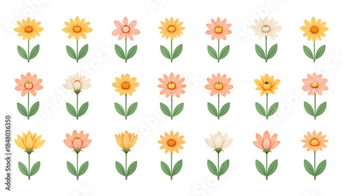 Colorful Flat Floral Illustration Set with Fifteen Stylized Flowers isolated on transparent background