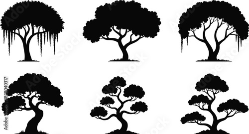 Collection of Six Black Tree Silhouettes with Varied Foliage and Roots Keywords: tree, silhouette, nature, plant, organic