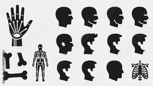 Human anatomy illustrations hand skeleton bones head profiles and body