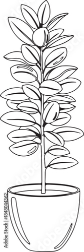 Potted plant with many leaves in outline style Keywords: plant, potted plant, leaves, green