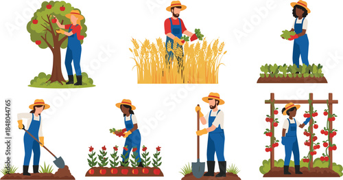 Colorful, flat, vector, illustration, of, diverse, farmers, working, together, in, organic, agriculture, gardening, harvesting, planting, crops, rural, lifestyle, sustainable, food,