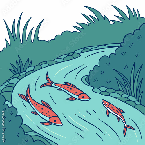 Salmon swimming in a river fish water stream