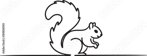 Cute squirrel with fluffy tail in continuous line drawing sketch style