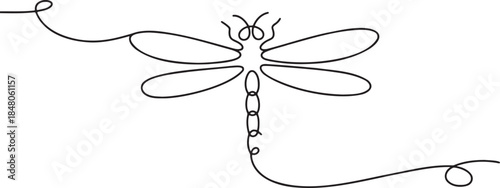 Dragonfly drawn with continuous one line art style against transparent background