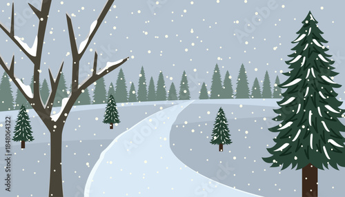 Snowy Forest Path in Winter. Winter forest. Winter countryside. Countryside road in the winter season. Pine trees.