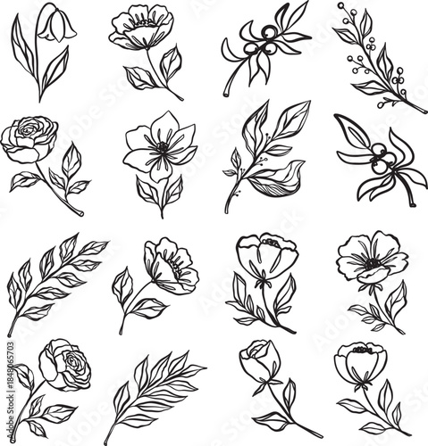 Hand drawn botanical line art collection of flowers and leaves