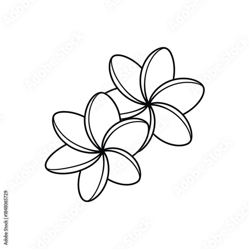 Simple outline illustration of three plumeria flowers on a white background