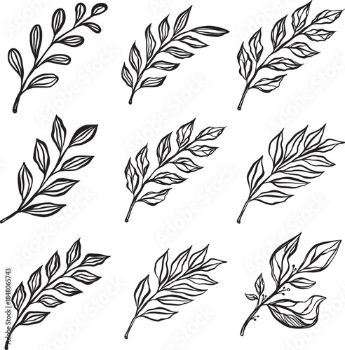 Hand drawn botanical line art collection of flowers and leaves