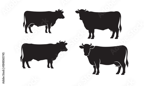 Black and white cow with calf silhouette farm animal vector illustration