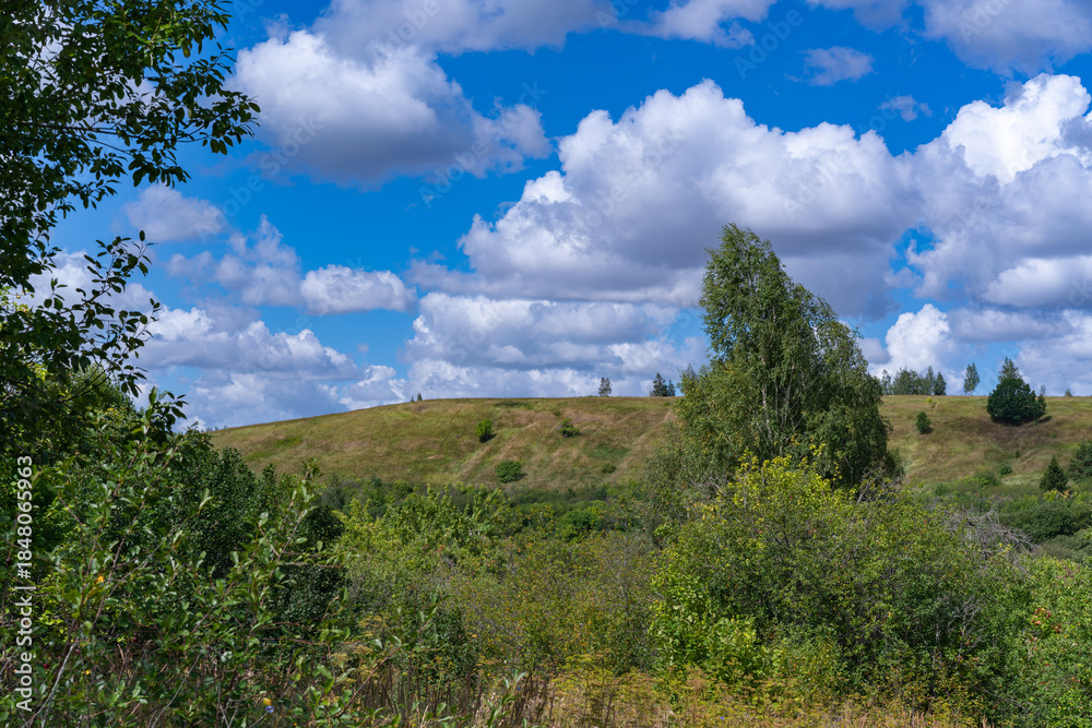 Obraz premium Hills with meadows and forests.