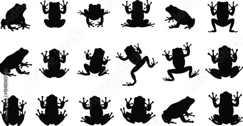 Frog silhouette collection showing amphibians in multiple poses and movements, wildlife animal shapes, nature illustration set isolated on white background