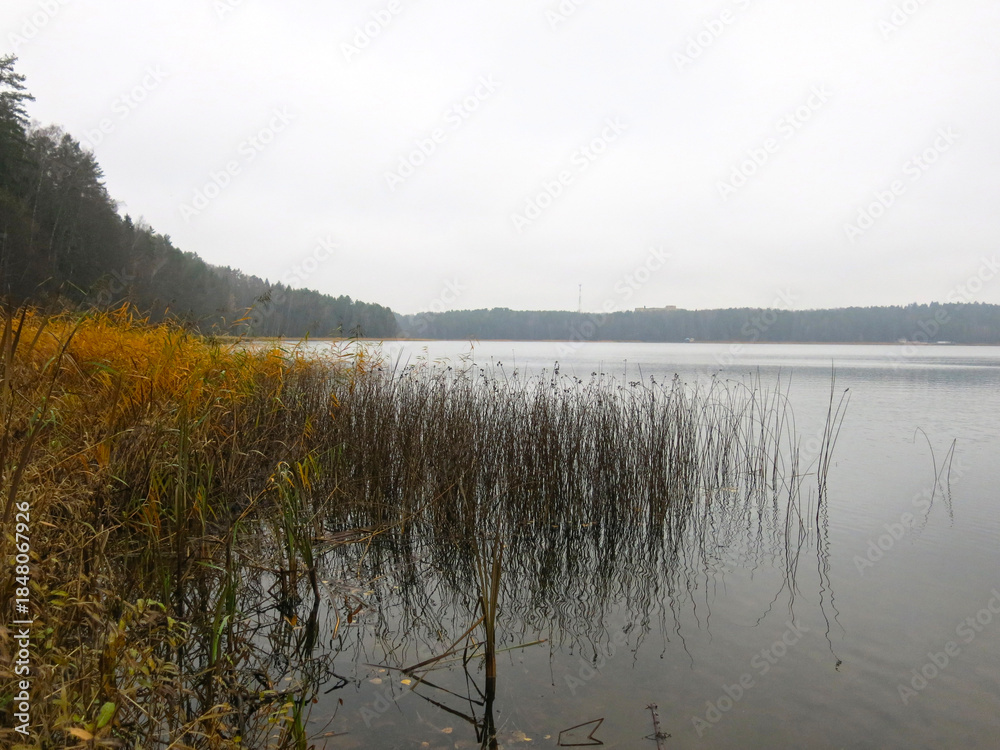 Fototapeta premium foggy autumn lake in a National Park in the Smolensk Region, Russia