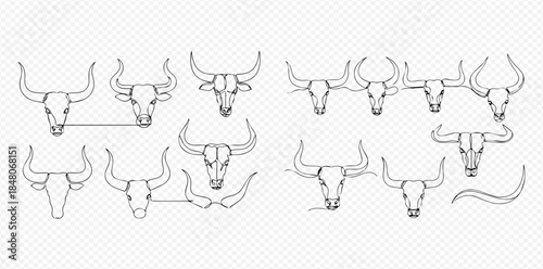 Set of various bull and buffalo skulls with horns in line art style.