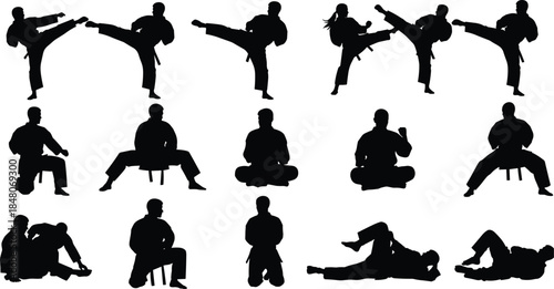 Martial arts silhouette set showing karate taekwondo poses combat training meditation and self defense movements isolated collection illustration series