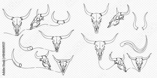 Set of hand-drawn bull and cow skulls with horns, longhorn, buffalo, and ram skull outlines.