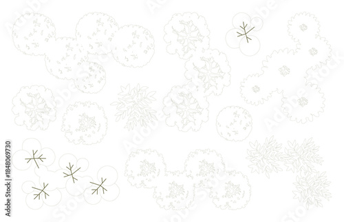Tree for architectural floor plans. Entourage design. Various trees, bushes, and shrubs, top view for the landscape design plan. Vector illustration.