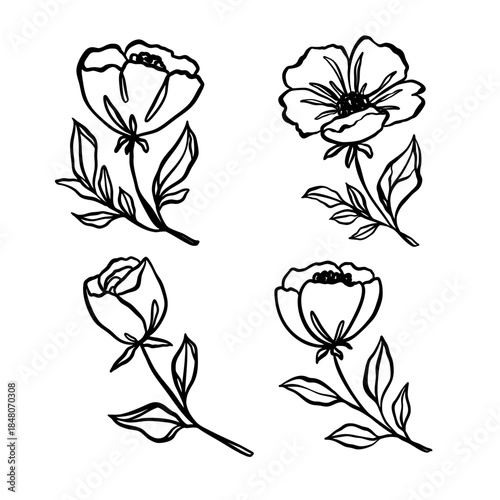 Hand drawn botanical line art collection of flowers and leaves