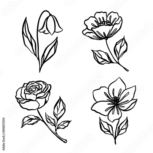 Hand drawn botanical line art collection of flowers and leaves